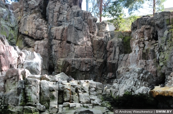Аквариум Лиссабон Португалия, Океанариум в Лиссабоне