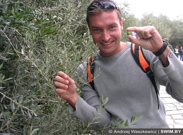 Andrzej Waszkewicz, оливки, оливковая роща, Греция, Афины, Андрей Вашкевич