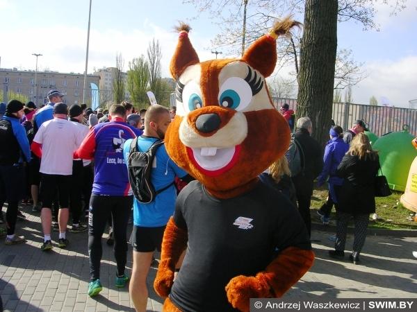 Бег 10 км, марафон в Лодзи 2017, Marathon Lodz 2017