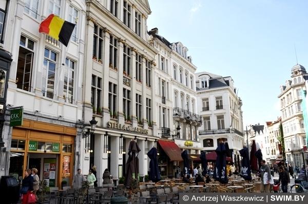 Лучшие пивные рестораны Брюсселя Бельгии