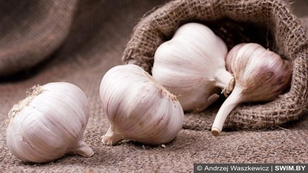 Чеснок, самые полезные продукты для сердца