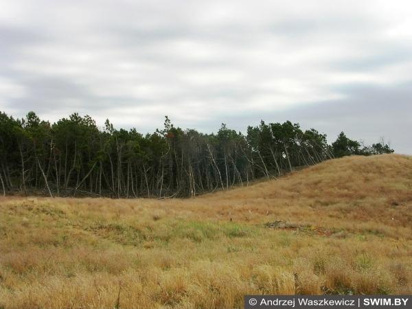 Curonian Spit, Baltic cycling tour