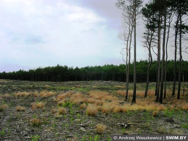 Curonian Spit, Baltic Tour