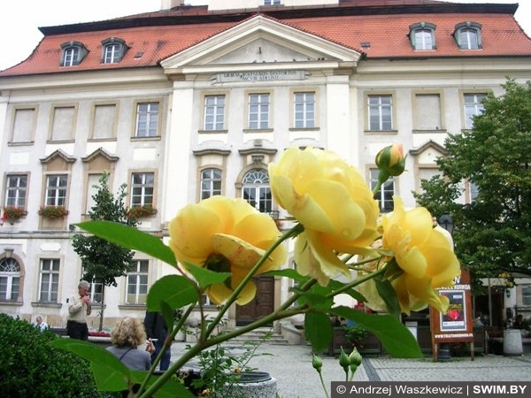 Еленя Гура centrum miasta центр города