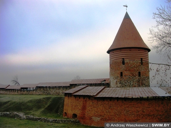Каунас замок, Рождество в Литве, Андрей Вашкевич