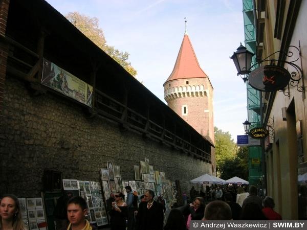 Краков, искусство