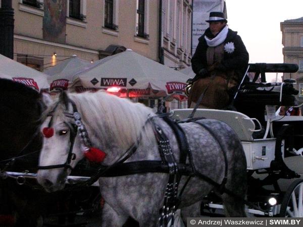 Краков, Королевский дворец