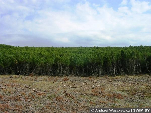 Куршская Коса, Балтийский велосипедный тур