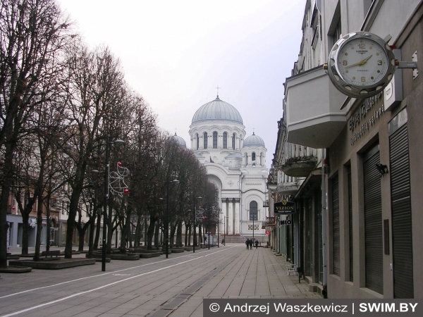 Лайсвес аллея Каунас