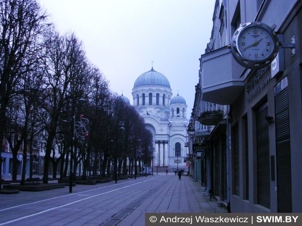 Лайсвес аллея Каунас