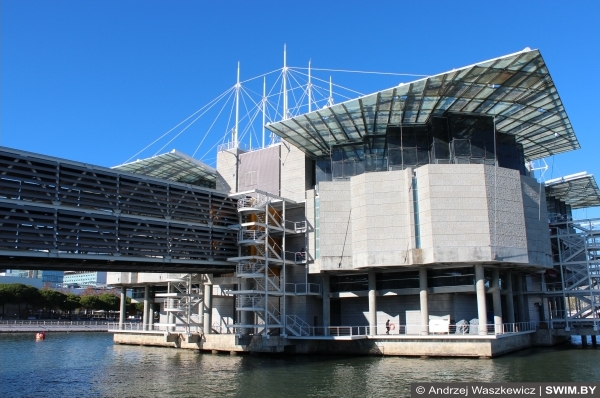 Lisbon Oceanarium, Лиссабонский океанариум