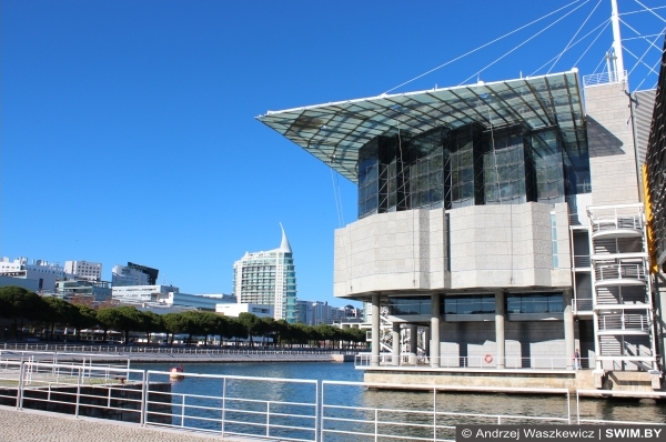 Lisbon Oceanarium, Лиссабонский океанариум