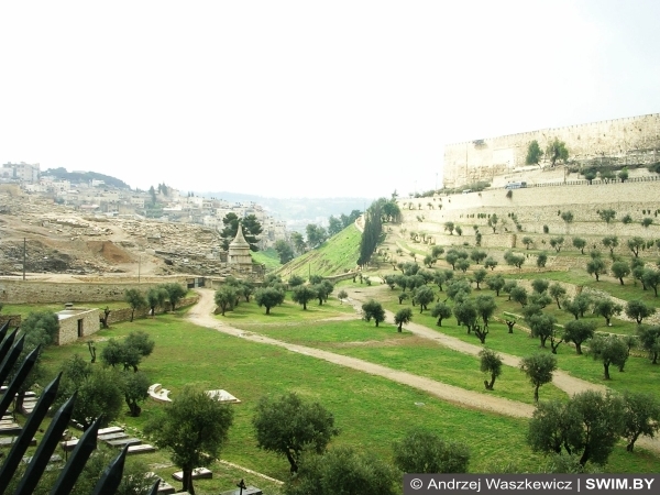 Масличная гора, Иерусалим, Израиль