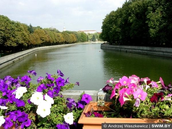 Minsk flowers, цветы Минска