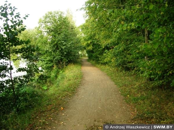 Minsk forest path