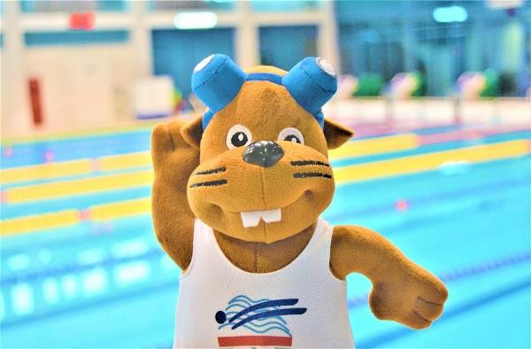 2019 Belarus Masters Swimming PHOTOS, Belarus Masters Swimming Championships PHOTO, Master Swimming Minsk, Плавание Мастерс Минск, www.swim.by, Belarus Masters Swimming PHOTOS 2019, Masters Swimming Minsk Photos, Чемпионат Беларуси по Плаванию Мастерс ФОТО, MASTERS SWIMMING PICTURES, Swim.by