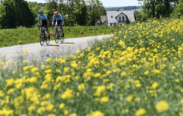 Photos Gran Fondo Gdynia 2019, Cycling Race Gdynia, Gran Fondo Gdynia 2019 Pictures, www.swim.by, Gran Fondo Gdynia 2019 Fotos, Gran Fondo Gdynia Zdjęcia, Swim.by