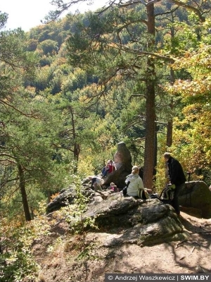 Пикник в замке Польша