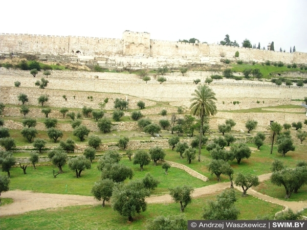 Погода в Израиле зимой
