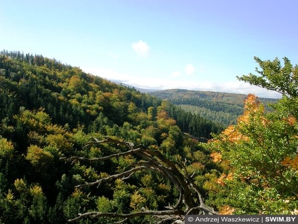 Природа Польша туризм экскурсии туры в Польшу