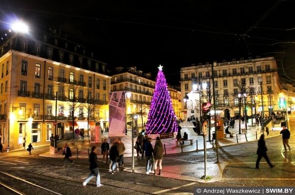 Рождественская ёлка в Лиссабоне в Европе