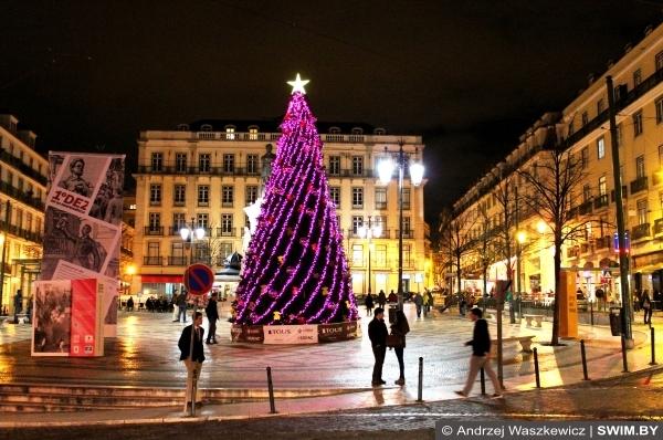 Рождественская ёлка в Лиссабоне в Европе