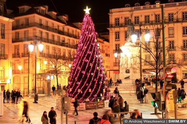 Рождественская ёлка в Лиссабоне в Европе