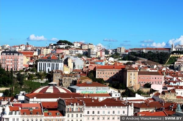 Andrzej Waszkewicz Рождество и Новый год в Португалии