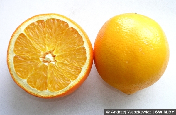 Спорт и простуда, swim.by