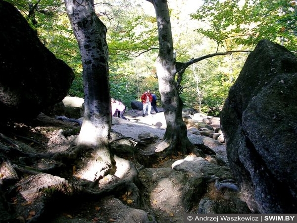 Sport Travel Adventure Saksonia