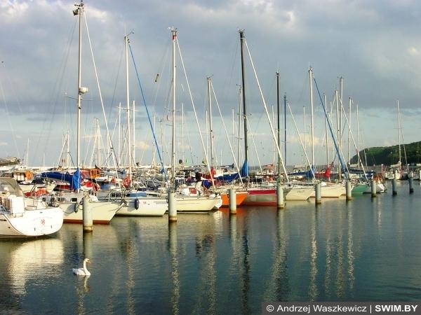 Sprint Triathlon Gdynia 2017, спринт триатлон Гдыня, EMG Sport Management