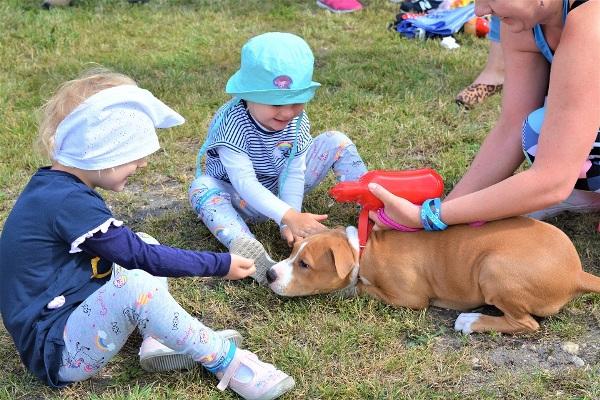 Suwałki Running Festival 2019, Suwałki Bieg Photos, Suwalki Running Photos, Run to the Island Photos, www.swim.by, Suwałki Island Run Photos, Suwałki Bieg Zdjęcia, Suwałki Bieg Fotos, Suwalki Run Photos, Poland Running Festival Photos, Swim.by