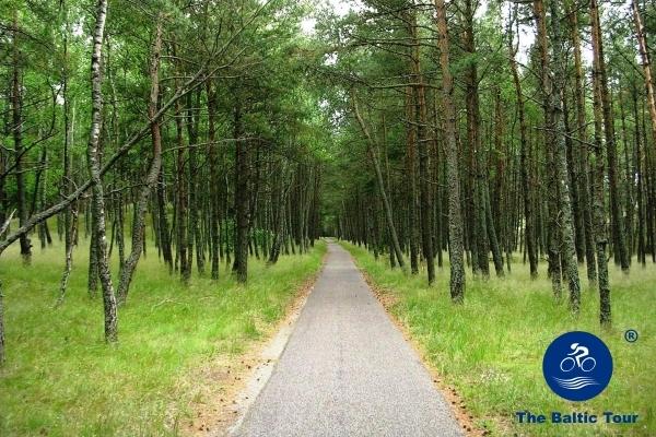 The Baltic Tour, cycling tour