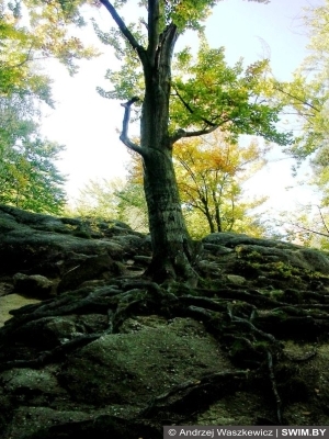 Travel Mountain Poland