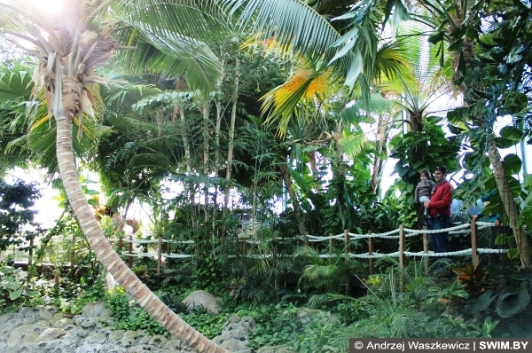 Тропики Лиссабон океанариум Португалия