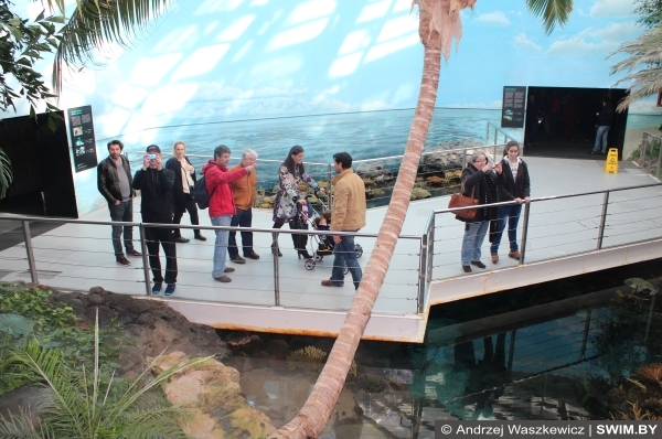 Тропики Лиссабон океанариум Португалия