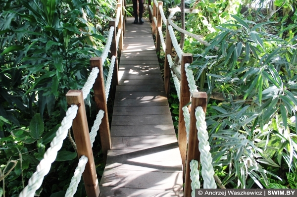 Тропики Лиссабон океанариум Португалия