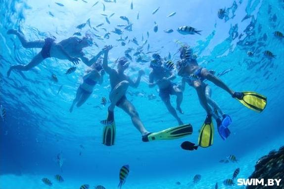 Дыхательная трубка для плавания Mad Wave Pro Snorkel, трубка для снорклинга, трубка для ныряния, трубка для моря, Swim.by