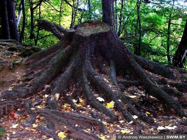 Валуны тур маршрут