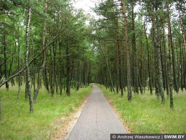 Велосипедный трек, Балтийский велотур