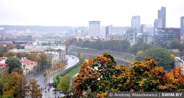 Бизнес в Литве, покупки Вильнюс, туры в Литву