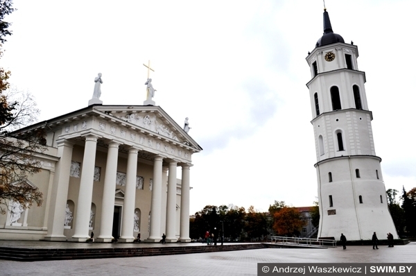 Andrzej Waszkewicz Katedra wileńska