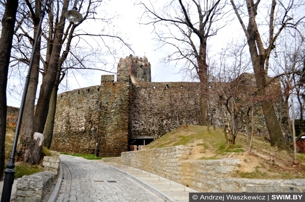 Замок Болькув Польша