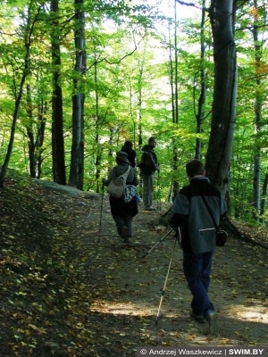 Замок Хойник