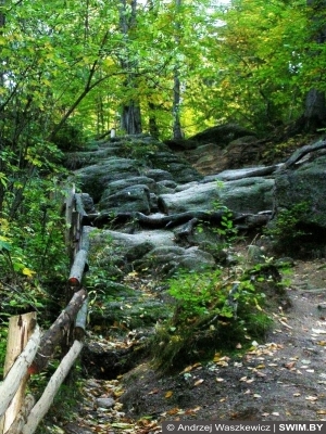 Замок Хойник