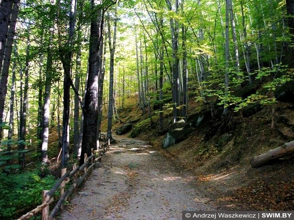Замок Хойник достопримечательности