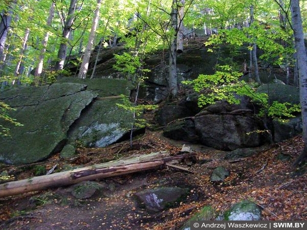 Замок Хойник достопримечательности